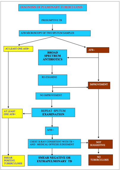 Pathophysiology Of Tuberculosis In Flow Chart