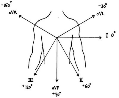 Ecg Rate Determination Chart