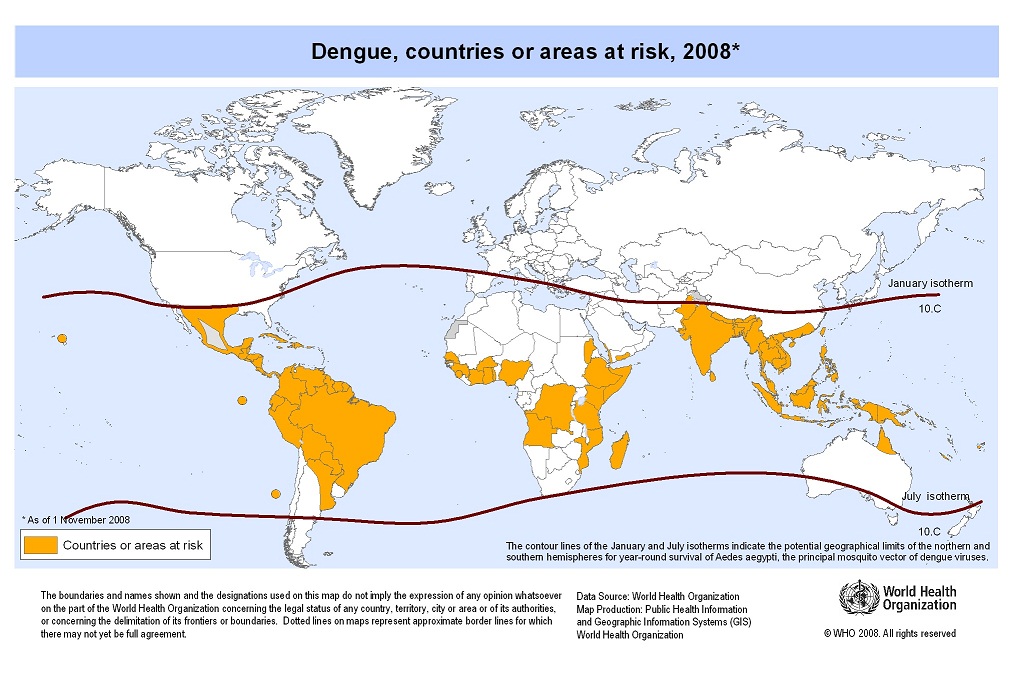 Dengue Fever Chart