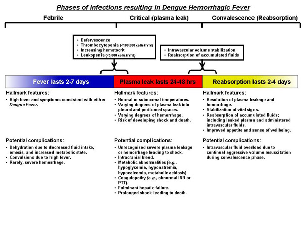 Dengue Fever Chart